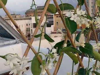 La Terrazza Su فندق مبيت وإفطار باليرمو